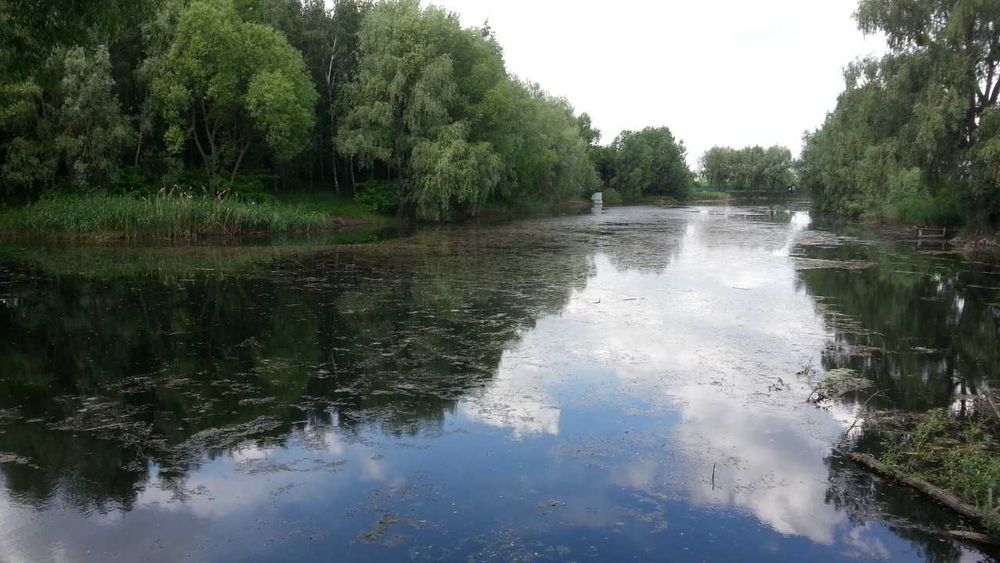 Продаж будинку для родини з великою ділянкою у с. Крушинка - Mehr