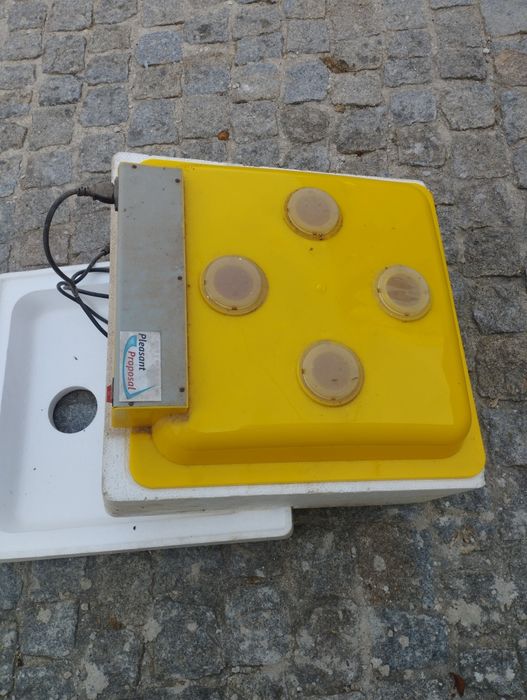 Tenho disponível chocadeira como nova