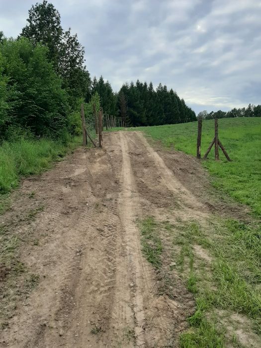 Działka budowlana na Mazurach koło Mrągowa - Widok 4