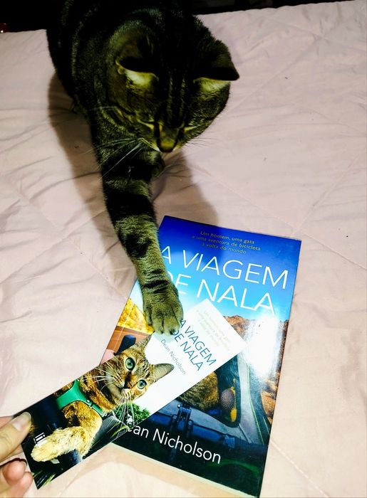 A viagem de Nala