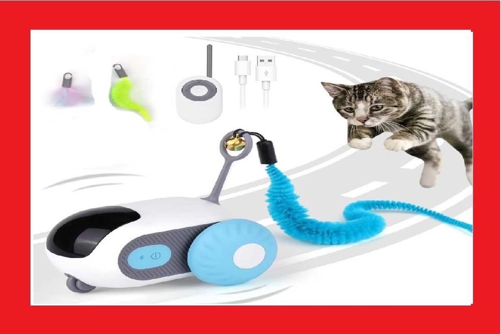 Машинка для котів і собак на пульті керування (USB, 2 режими, пульт)