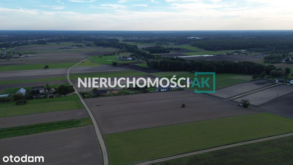 Rosocha gm. Golina | 4 działki na sprzedaż | 60zł/m² - Widok 5