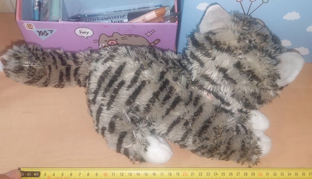 Красиві м'які киці