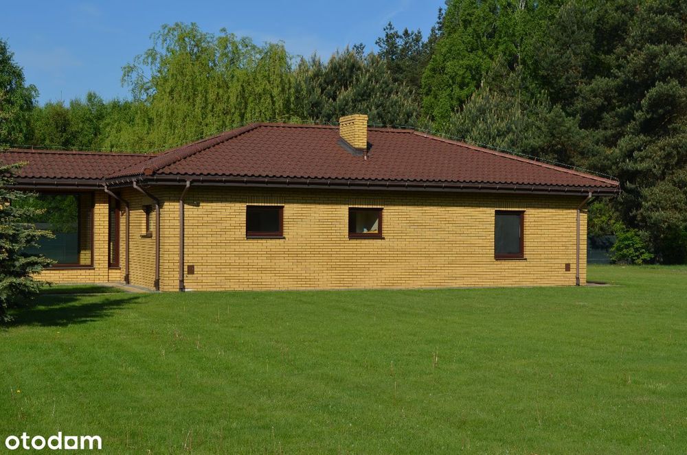 Zdjęcie 8