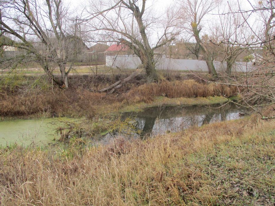 Продаж земельної ділянки 21 сот. Київська обл., с.Жукин      8500$