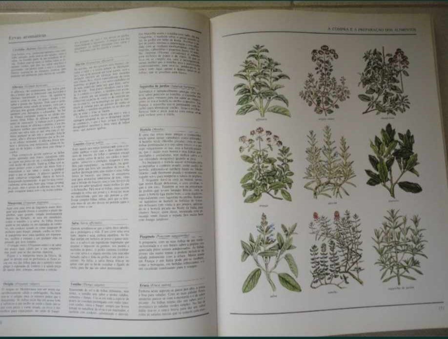 Coleção "O grande livro ilustrado"