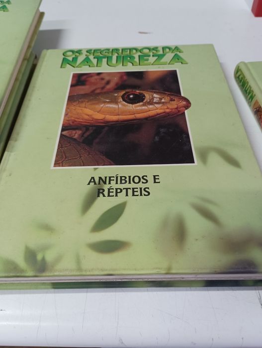 8 livros - os segredos da natureza