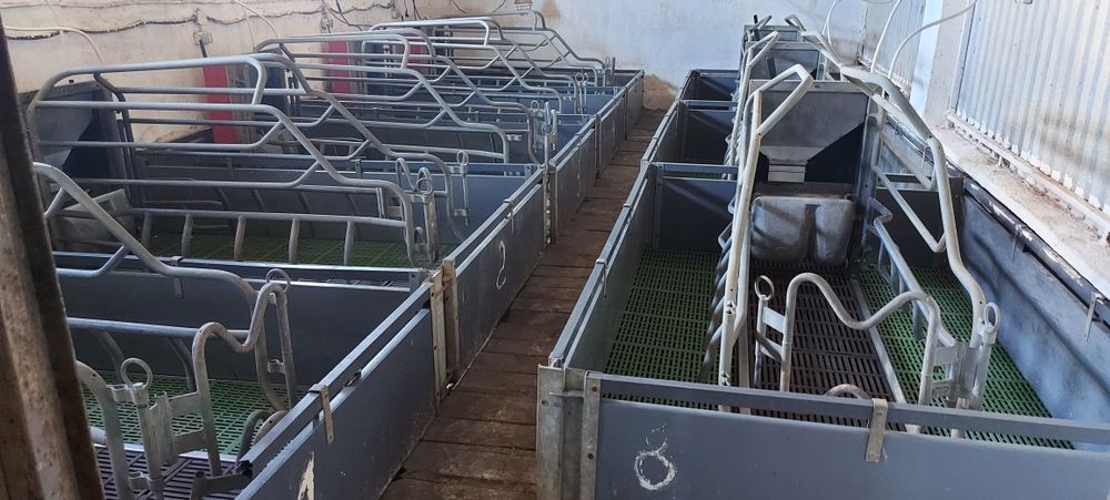 Продам ферму хозяйство ранчо