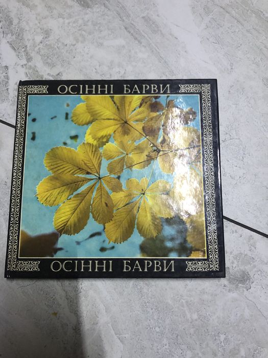 Фотоальбом осінні барви Київ