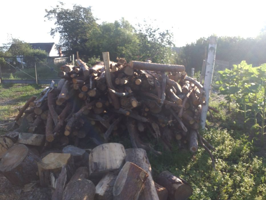 Drewno opałowe iglaste i liściaste