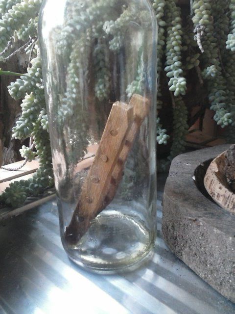 Artesanato - garrafas decorativas