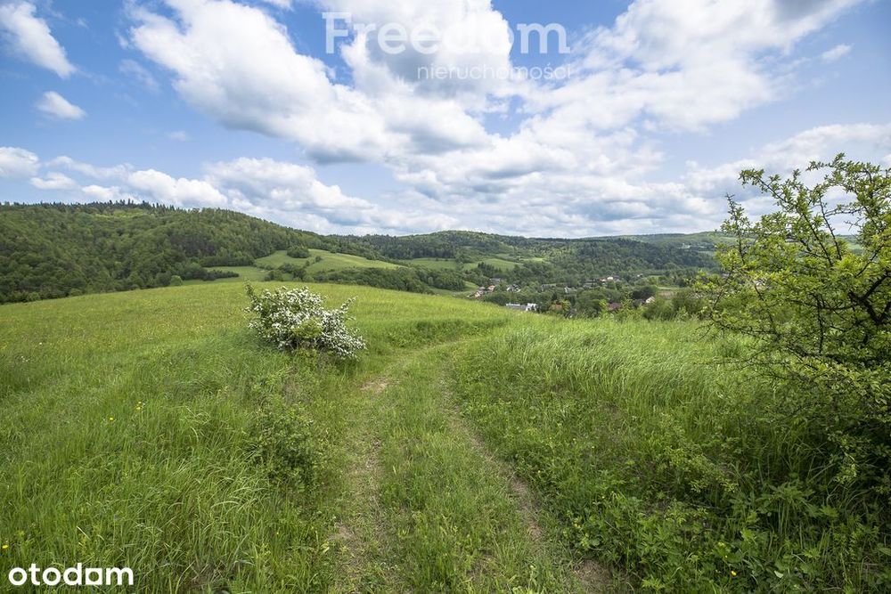 Działka na stoku, Mchawa, Bieszczady - Widok 5