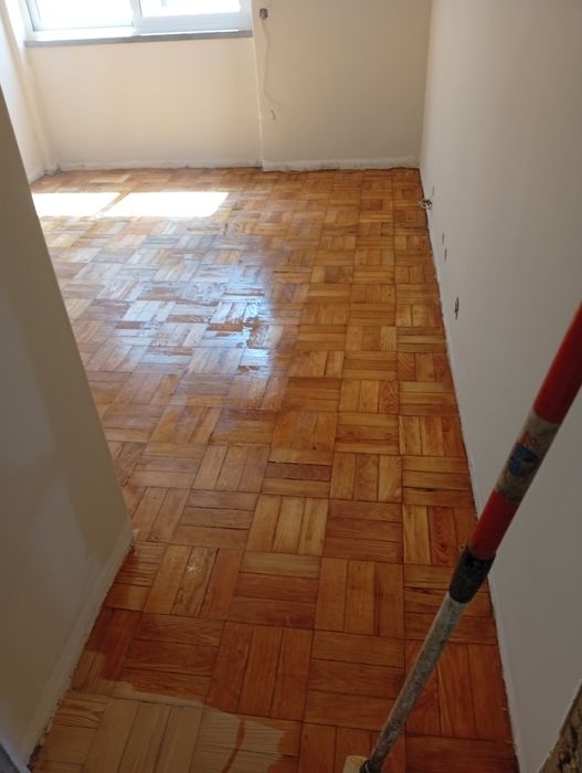 Ofereço mão de obra em troca de animais final de semana