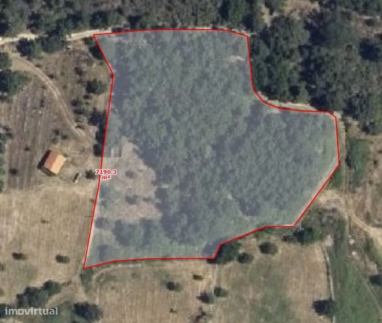Terreno rústico "Linhares" em Penela da Beira, Penedono