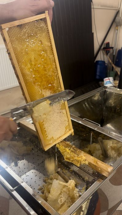 Мед Закарпаття, екологічний з лісів .мед з власної пасіки.