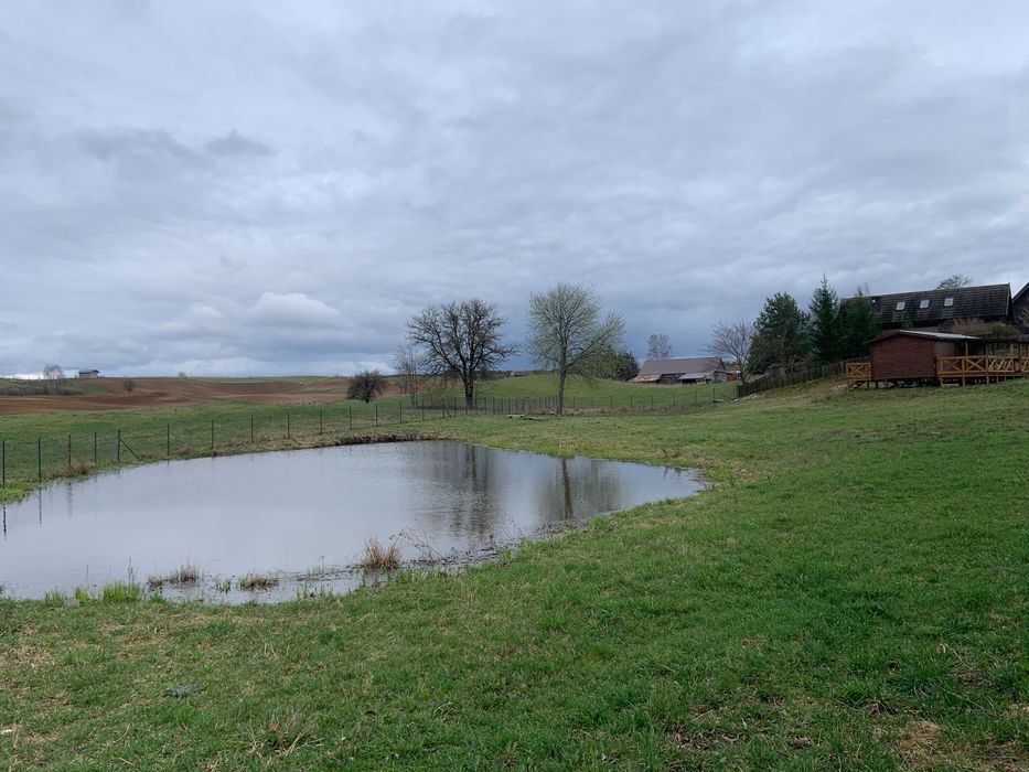 Domek nad Jeziorem Wigry_WOLNE TERMINY