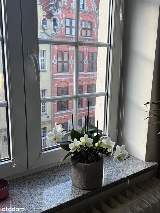 Samo serce starego miasta - widok na Zbrojownię i Bazylikę