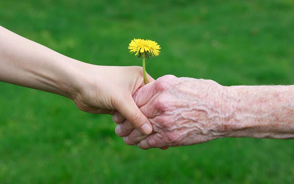 Допомога, догляд