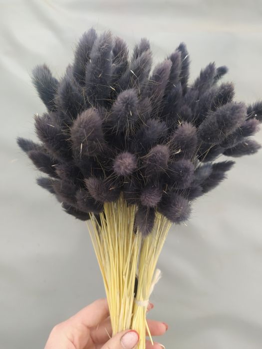 Лагурус продам, сухоцвіти