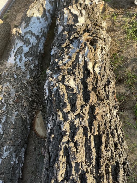 drewno tartaczne kominkowe opałowe paletowe