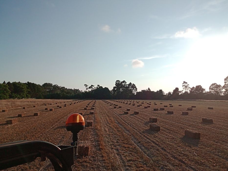 Palha fardos pequenos