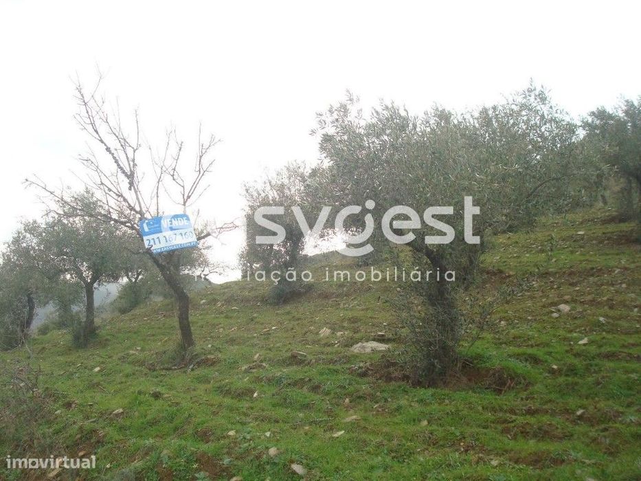 Rustic Land in Vila Nova de Foz Côa.