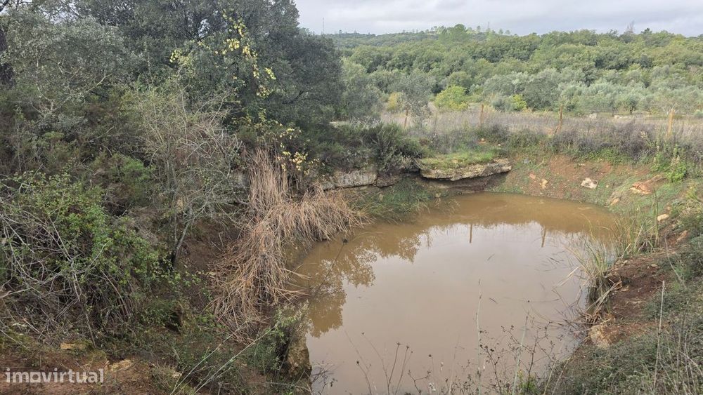Terreno 18.800 m2, pequeno lago, com potencial para pomar ou agricultu — Areias E Pias, Santarém
