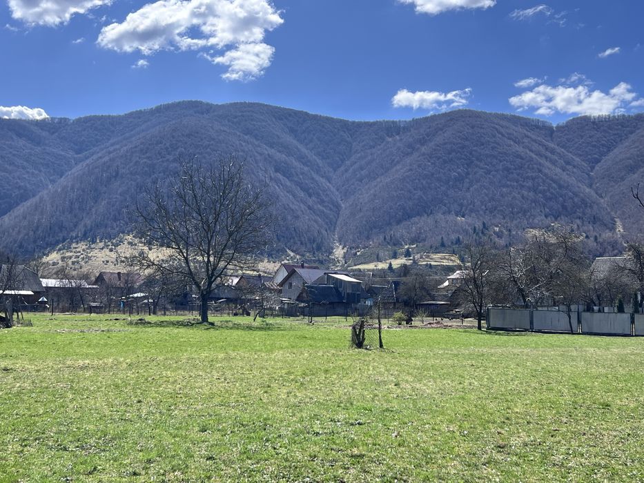 Продається будинок у с. Негровець та 18 сотих