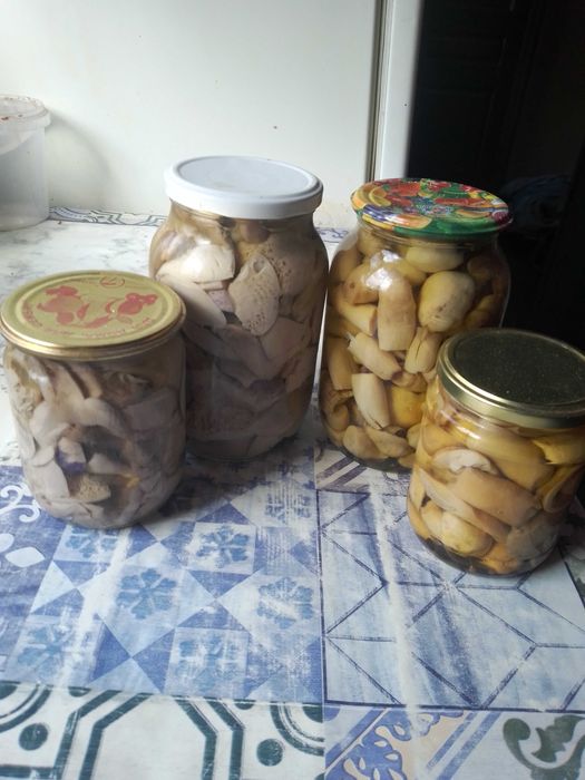 Продам мариновані грибочки.