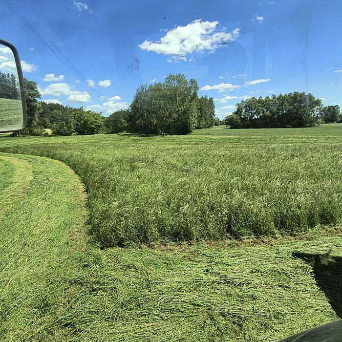 Bele sianokiszonki 130cm sianokiszonka siano 145 Transport