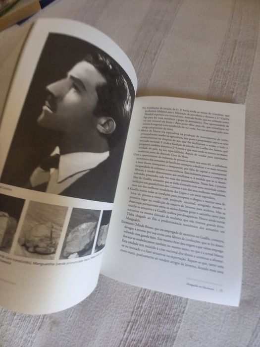 Monografia sobre Mangualde