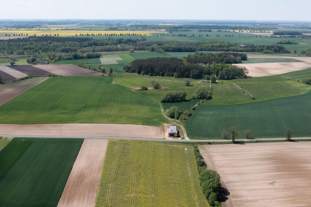 Sprzedam 3000 m²