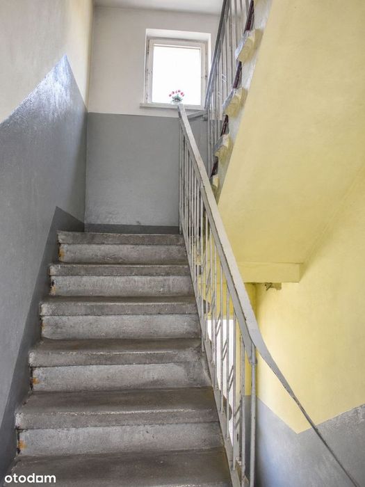Zdjęcie 8