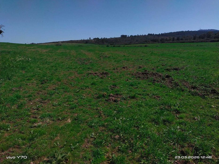 Magnífico monte/herdade, 25 hectares de pura natureza, ideal para quem procura tranquilidade/investimento