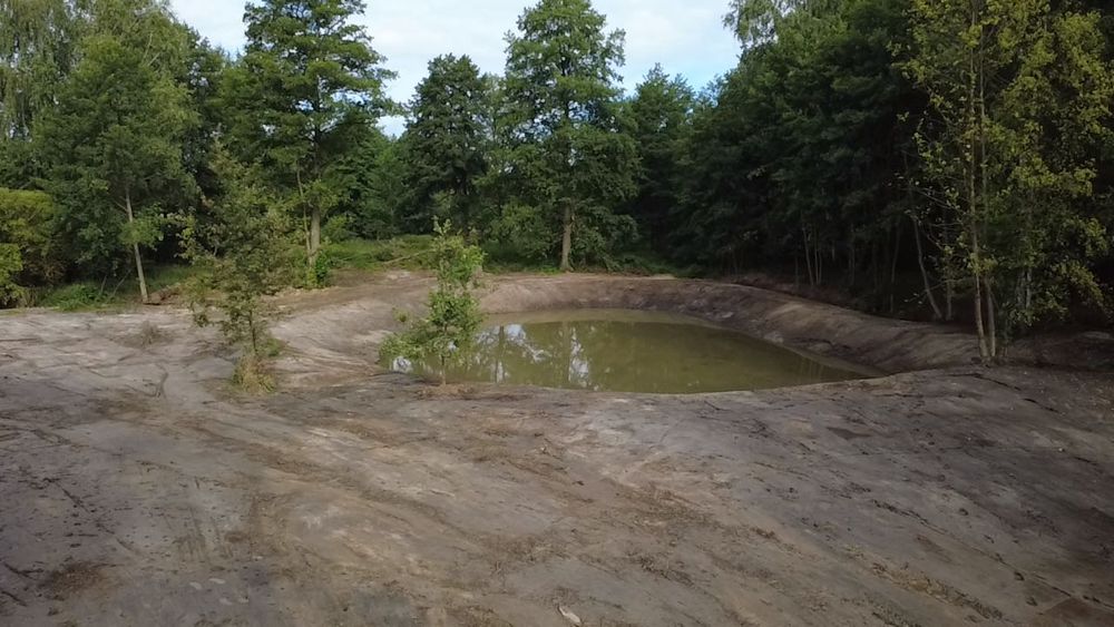 Kopanie stawów / Koparki LONG / odmulanie czyszczenie stawów