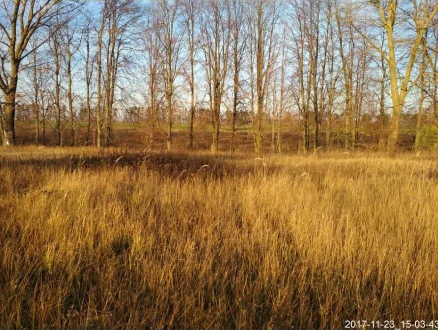 Продаж земельної ділянки 25 сот. Київська обл., с.Липівка    5000$ - More