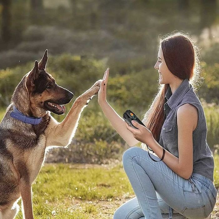 Ультразвуковой отпугиватель животных - тренажер для собак (відлякувач)