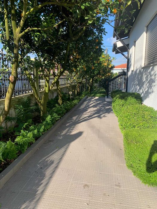 Manutenção de jardins