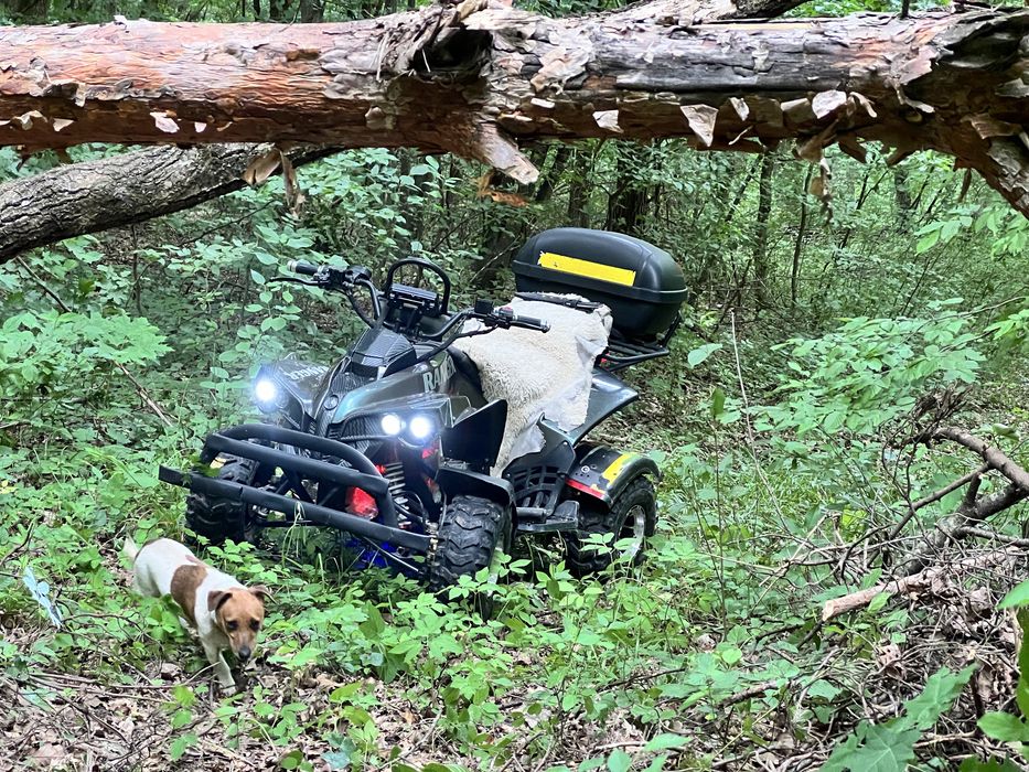 Крутейший Emobili Crafter ranger электро квадроцикл 2.5 квт