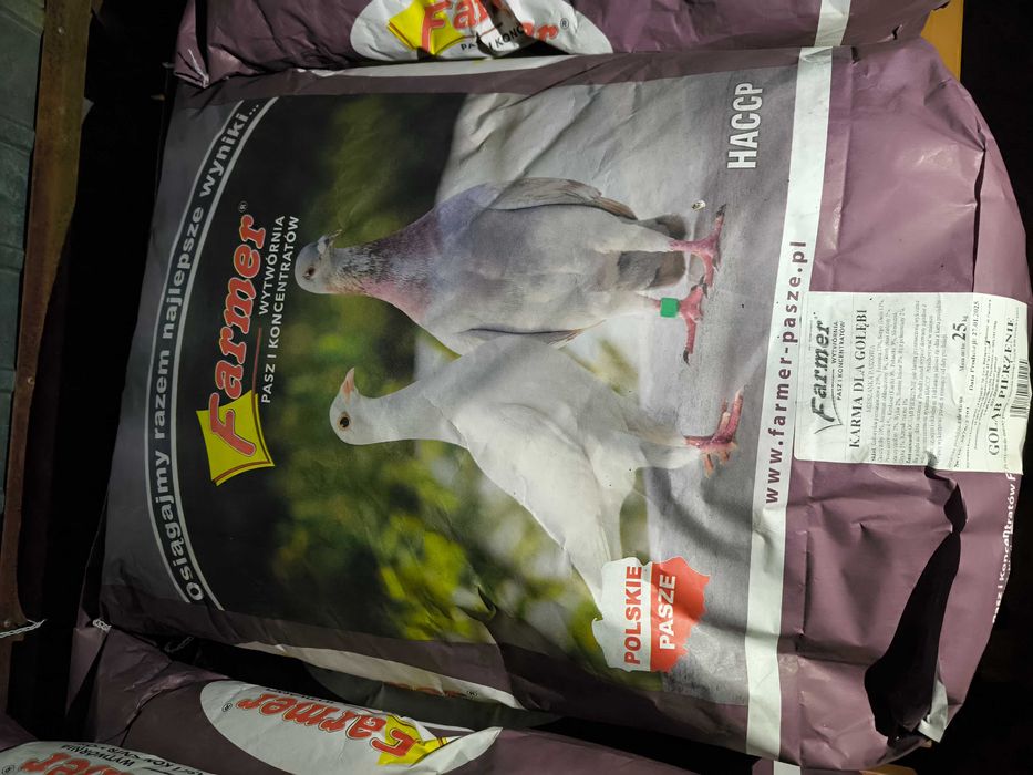 Karma gołąb bez kukurydzy i pszenicy