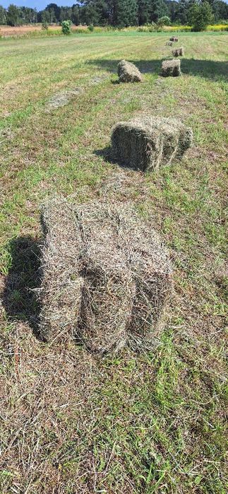 Sprzedam siano kostki 2025