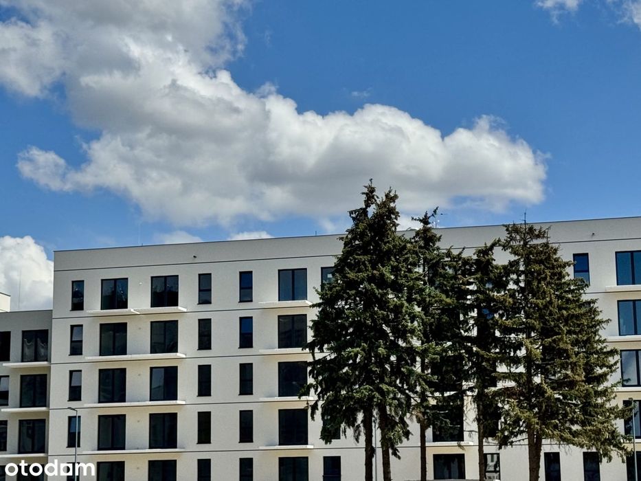 Gotowe do odbioru | Centrum | Galeria Olimp | Uczelnie | Sklepy| Sport