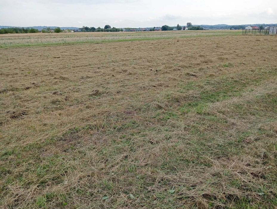 Działka 9 ar Rzeszów Senatorska - Widok 3