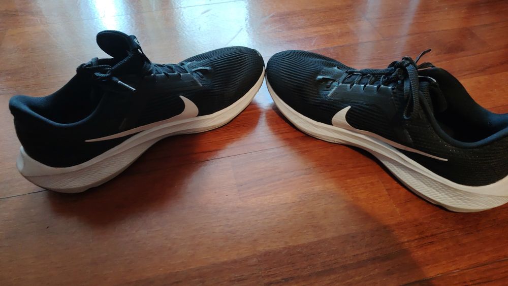 Nike Pegasus (serie40) número 44