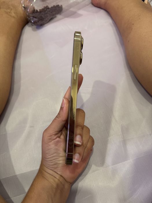 iPhone 13 PRO MAX 256 GB