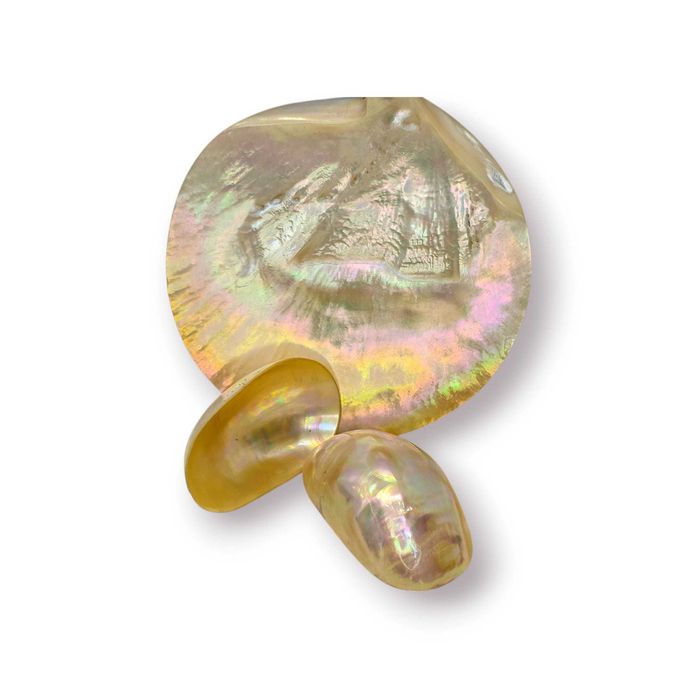 Conjunto Decorativo Madrepérola Natural – 3 Peças Iridescentes
