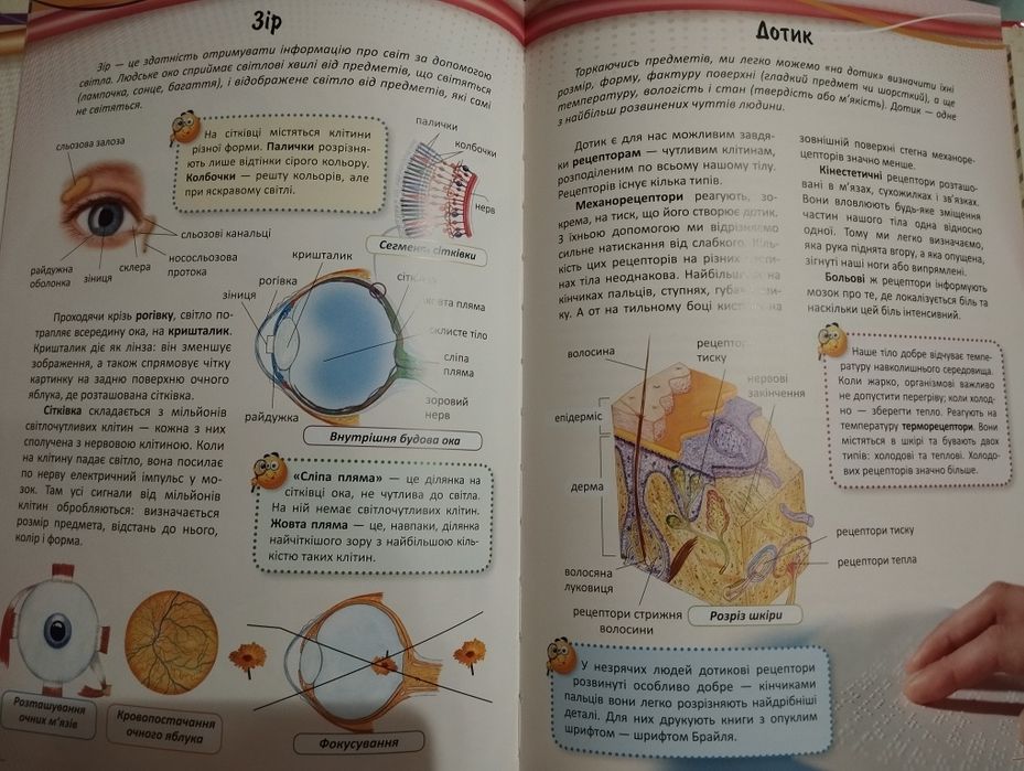 Моя перша Книга про людину