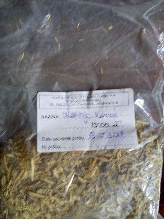 Zioła suszone na wagę