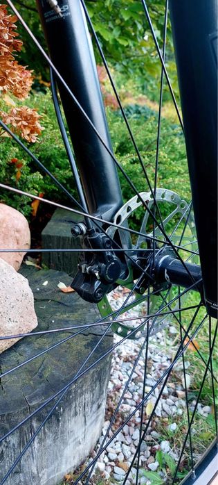 MTB Kellys Hacker 50