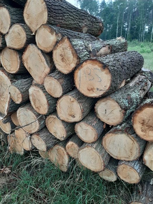 Drewno Drzewo opałowe kominkowe